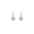 Gold Earrings with Zircons