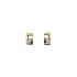 Earrings with White Gold Zircons