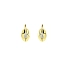 Gold Earrings with Zircons