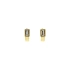 Gold Earrings with Zircons