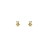 Golden Baby Bear Earrings