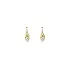 Gold Earrings with Zircons