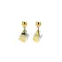 Earrings made of Combination Gold