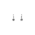 Earrings with White Gold Zircons