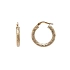 Elegant Gold Hoop Earrings