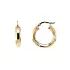 Elegant Yellow Gold Hoop Earrings