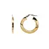 Elegant Gold Hoop Earrings
