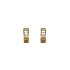 Gold Earrings with Zircons