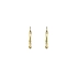 Gold Round Earrings