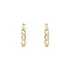 Gold Earrings with Zircons
