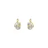 Gold Earrings with Zircons