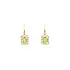 Gold Earrings with Zircons