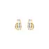 Earrings made of Combination Gold