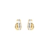 Earrings made of Combination Gold
