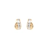 Earrings made of Combination Gold