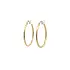 Gold Round Earrings
