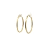Gold Round Earrings