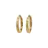 Gold Round Earrings