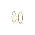 Gold Round Earrings