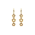 Gold dangle earrings Flowers