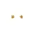 Gold Peck Earrings
