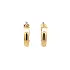 Gold Round Earrings