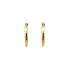 Gold Round Earrings