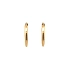Gold Round Earrings