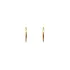 Gold Round Earrings
