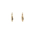 Gold Circular Earrings with Zircons