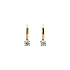 Yellow Gold Earrings with Zircones