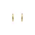 Gold Round Earrings