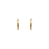 Gold Round Earrings
