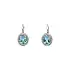 White Gold Topaz Earrings