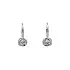 Earrings with White Gold Zircons