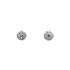 Earrings with White Gold Zircons