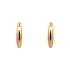 Gold Semi-circular Earrings