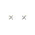 Gold Pecky Earrings with Zircones