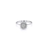 Ring with White Gold Zircons