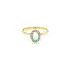 Gold Ring with Opal and Zircones