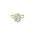 Gold Ring with Zircons
