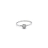 Ring with White Gold Zircons