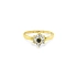 Gold Ring with Colored Stones