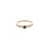 Gold Ring with Red Stone