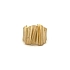 Gold Exclusive Ring