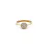 Gold Ring with Zircons