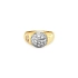 Gold Ring with Zircons