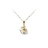Gold Pendant Aquarius