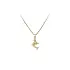 Golden Dolphin Pendant