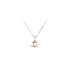 Gold Pendant of Iron